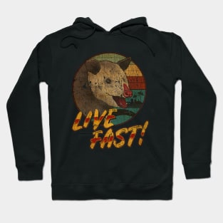 VINTAGE OPOSSUM  LIVE FAST AAAAAA Hoodie